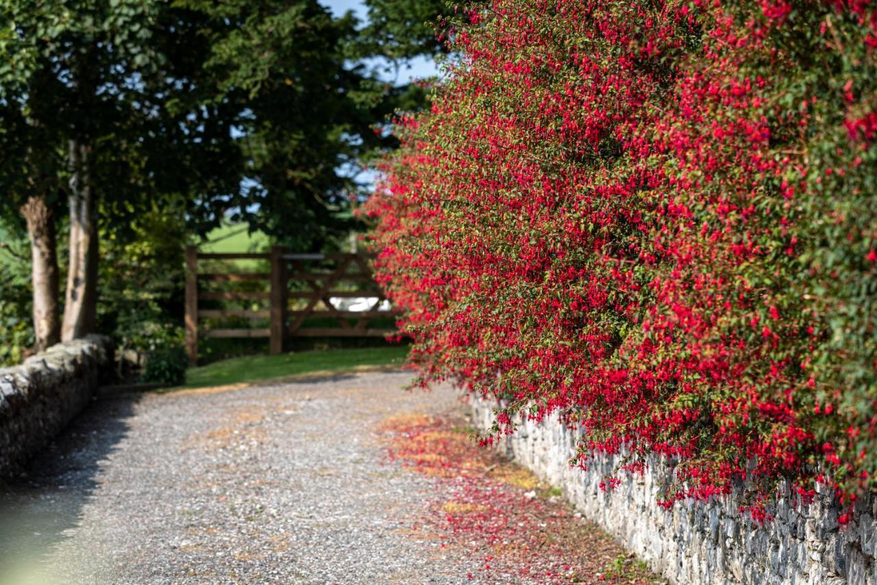 Craigmount Bed & Breakfast Wigtown Eksteriør bilde